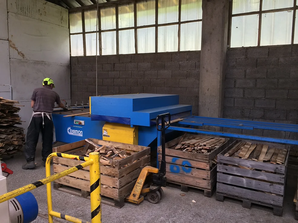 Vue d'un stock de différents types de palettes en bois, incluant des palettes moulées, dans un entrepôt.